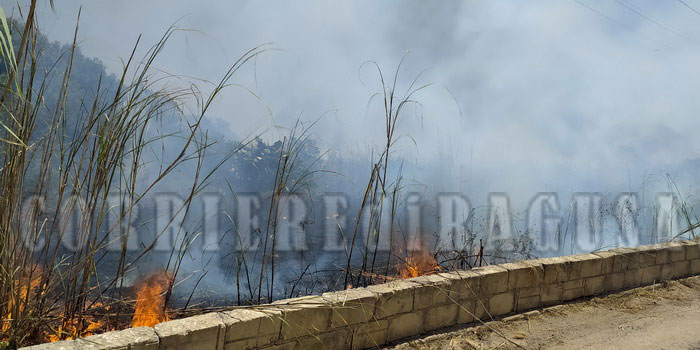 Apprensione a Marina di Modica per l’incendio in un fitto canneto: nessun danno