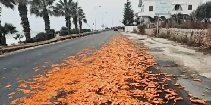 Una strada del tutto ricoperta di carote in contrada Timpe Rosse a Scicli. Ecco cosa è successo