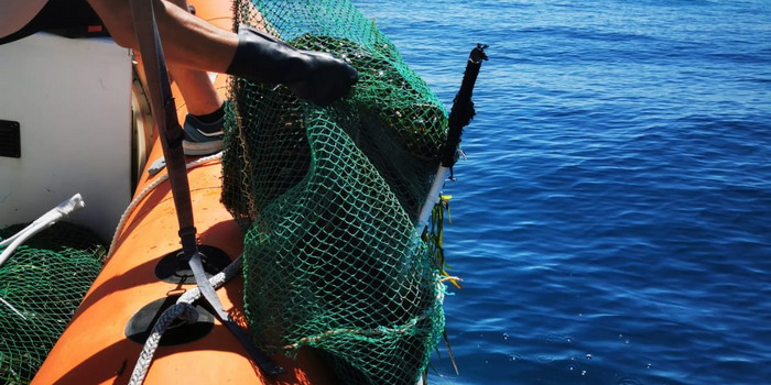 Ricci e… capricci! Multa salata di 2.000 euro per un pescatore al largo di Palo Bianco, lungo il litorale di Scicli. Attrezzatura sequestrata