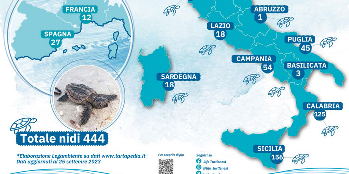 Tartarughe marine in Sicilia, 2023 anno record delle nidificazioni. Le province più gettonate: Siracusa (60) e Agrigento (32), bene Ragusa