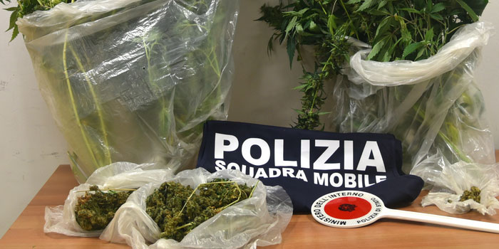 Coltivazione intensiva di marijuana nello scantinato celato da una botola in casa a Ragusa: arrestato 27enne grazie al fiuto del cane antidroga
