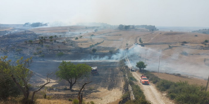 VIDEO Grosso incendio in area forestale a Chiaramonte Gulfi
