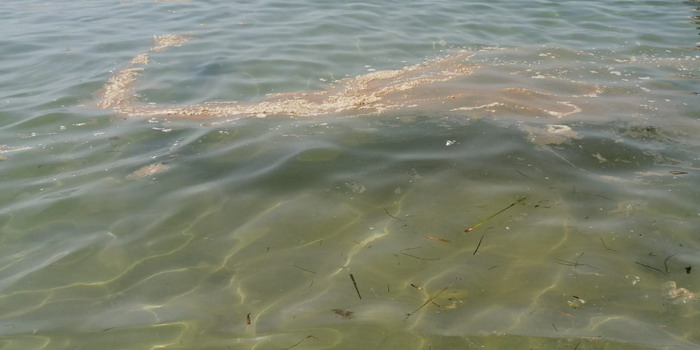 Puntuali come ogni estate tornano le chiazze scure e maleodoranti nel mare di Marina di Modica. La capitaneria di porto conferma