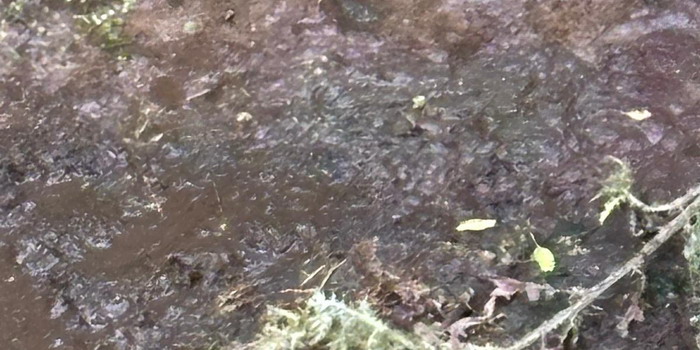 E’ fortemente inquinato da liquami il torrente Morana a Chiaramonte Gulfi. Il consigliere Iacono: “Tutto tace nonostante la denuncia”