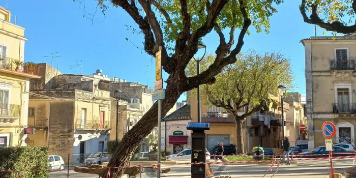 Per motivi di sicurezza sarà abbattuto un albero di piazza Cappuccini a Ragusa. L’ assessore D’Asta: “Scelta dolorosa, ma necessaria”