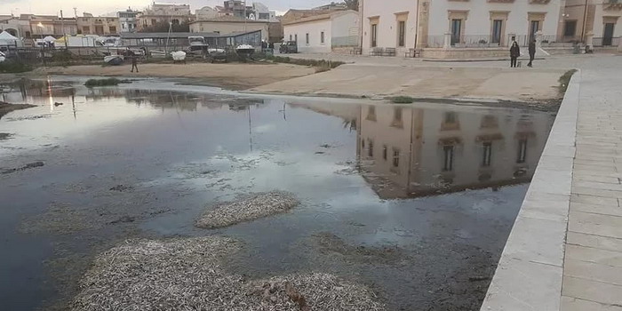 Porticciolo di Donnalucata, entro gennaio al via i lavori: aggiudicata la gara d’appalto