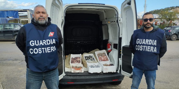 Operazione e-Fishing della Guardia costiera nel Ragusano: sequestrati 125 chili di pesce e sanzioni per 5.000 euro