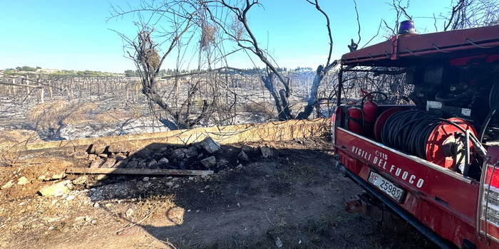 Ancora incendi in mezza provincia iblea: distrutti impianti in serra, alberi e macchia mediterranea. Lambite anche alcune abitazioni