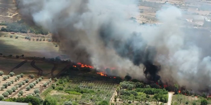 Il grosso incendio sulla Modica mare, Cna agroalimentare: “Vicini alle aziende colpite e pronti a stare vicini nella fase di ricostruzione”. Fondamentale l’apporto dei privati con i loro trattori per evitare danni peggiori