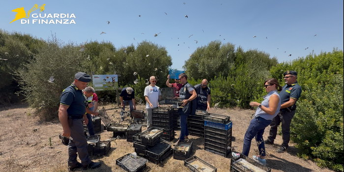 Traffico illegale di 2.700 uccelli di specie protetta scoperto tra Pozzallo e Malta: i volatili salvati da morte certa e liberati. Una denuncia