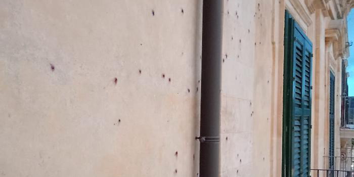 I colorati fuochi d’artificio esplosi in occasione di un matrimonio al duomo di Ragusa Ibla imbrattano le pareti delle vicine case storiche I colorati fuochi d’artificio esplosi in occasione di un matrimonio al duomo di Ragusa Ibla imbrattano le pareti delle vicine case storiche