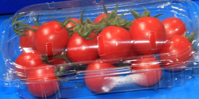 Casi di salmonella, Udicon Sicilia a tutela del pomodoro di Pachino: “Un’eccellenza siciliana sicura e controllata” Casi di salmonella, Udicon Sicilia a tutela del pomodoro di Pachino: “Un’eccellenza siciliana sicura e controllata”