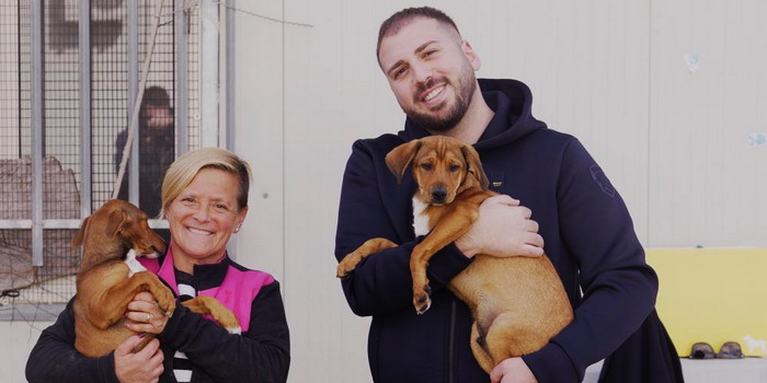 “Non comprarlo, adottalo”: l’appello d’amore del Comune di Modica ai cittadini per salvare i cani del rifugio sanitario “Non comprarlo, adottalo”: l’appello d’amore del Comune di Modica ai cittadini per salvare i cani del rifugio sanitario