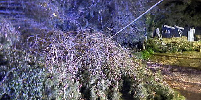 Vento impetuoso negli Iblei: alberi caduti a Ragusa lasciano un'intera zona la buio danneggiando i cavi elettrici e sfiorando un'auto in transito. Pericolo a Monterosso Almo