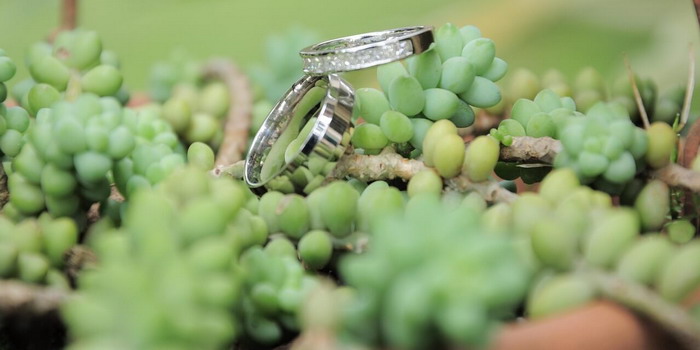 Matrimoni sostenibili: perché sempre più coppie scelgono bomboniere green