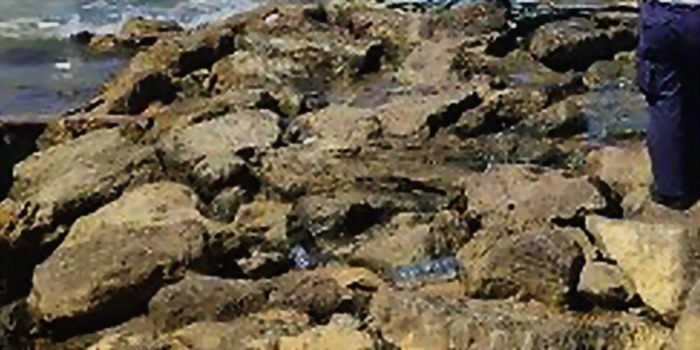 Tragedia sfiorata a Cava d’Aliga: un automobilista perde il controllo della macchina e rischia di precipitare nella scogliera