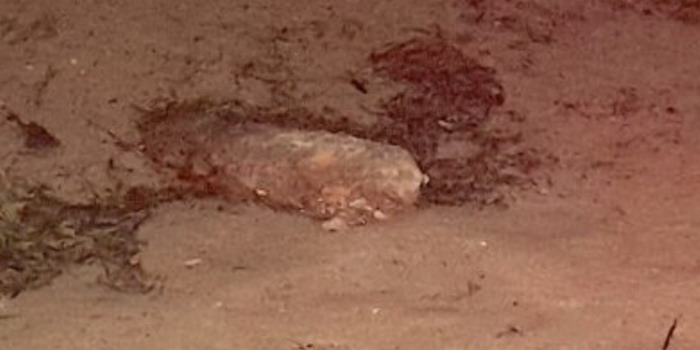 Un ordigno esplosivo lungo circa 45 centimetri, forse risalente alla Seconda guerra mondiale, portato in spiaggia dal mare a Scoglitti