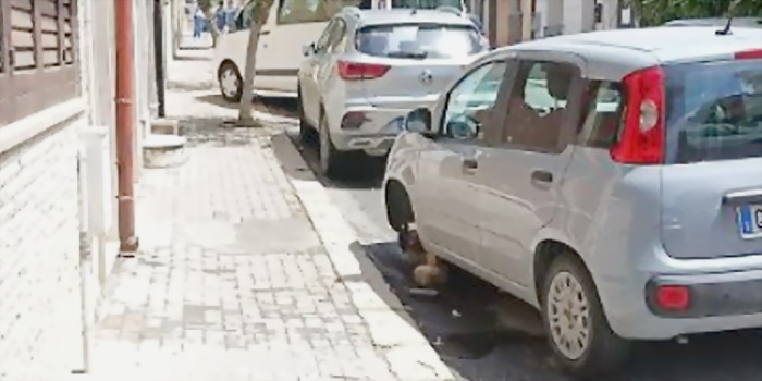 Automobilista buca la gomma per una buca, lascia l’auto parcheggiata e la ritrova senza una ruota. Oltre al danno, pure la beffa a Vittoria Automobilista buca la gomma per una buca, lascia l’auto parcheggiata e la ritrova senza una ruota. Oltre al danno, pure la beffa a Vittoria