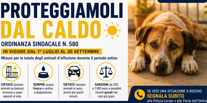 Emanata a Ragusa un'ordinanza sindacale per tutelare gli animali dalle elevate temperature: sanzioni e risvolti penali per i trasgressori