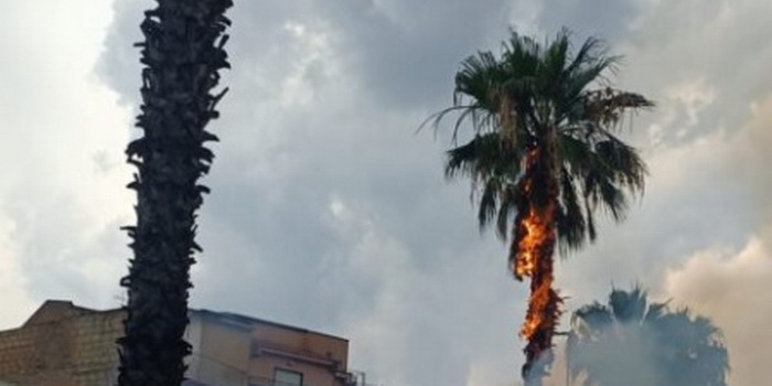 Un fulmine colpisce una palma che prende fuoco durante il temporale in zona Emaia a Vittoria: intervento tempestivo dei pompieri