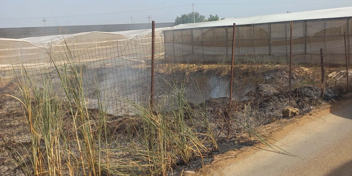 Fumarole nell'Ipparino: operazione notturna di polizia locale e protezione civile con i droni: spenti 2 roghi e identificati i responsabili