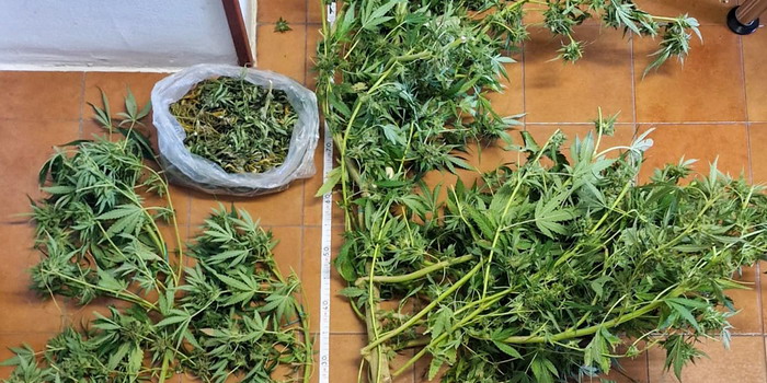 Produzione, traffico e detenzione illeciti di marijuana: arrestato un 54enne che aveva creato una serra in un terreno a Chiaramonte